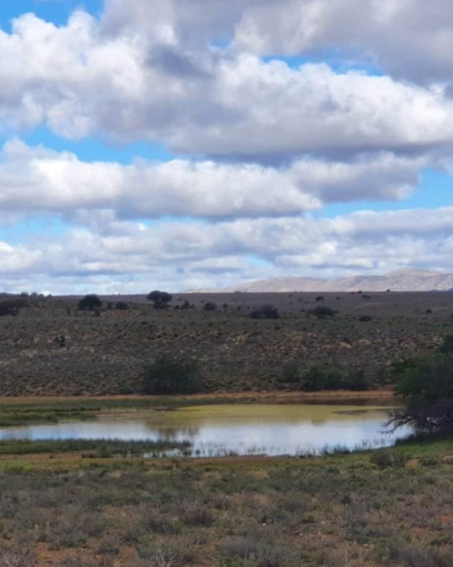 6 Bedroom Property for Sale in Willowmore Eastern Cape